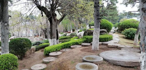 獨具南北園林特色兩千畝精品公園西安中園唐苑免費開放