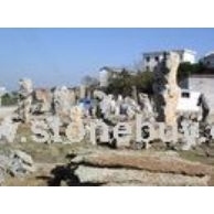 園林石 - 產(chǎn)品展示 - 上海市盛石實業(yè) | psynipgkl.stonebuy.com