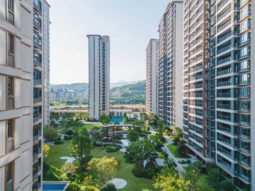 產品力刷爆巖城 龍巖這個園林實景展示區(qū)驚艷亮相