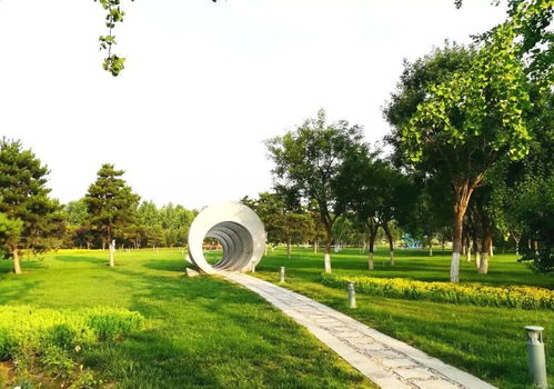 北京竟有這樣一個 精品公園 原始生態(tài),人少景美還不花錢
