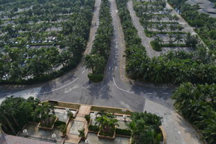 融創觀瀾湖公園壹號三期在售 均價17000元 ㎡帶裝修