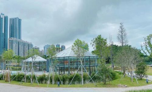 國內(nèi)首座 亭臺 淺灘 步道 羅湖這一新晉打卡點(diǎn)竟還有隱藏功能