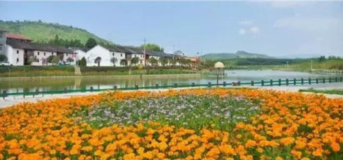 萍鄉(xiāng)這個地方又獲全省第一 為她點(diǎn)贊