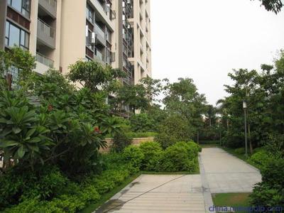 供應(yīng)廣州綠化公司華美霖東莞圣旗時裝綠化工程圖片,供應(yīng)廣州綠化公司華美霖東莞圣旗時裝綠化工程圖片大全,廣東華美霖園林實業(yè)-