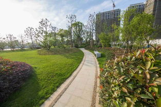 看慣了北方的生態(tài)粗線條 來感受下江南精品園林的畫風(fēng)