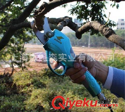 電動園藝剪刀 電動剪刀、果樹電動修枝剪批發、園林園藝修枝剪批發、樹枝修剪機圖片|電動園藝剪刀 電動剪刀、果樹電動修枝剪批發、園林園藝修枝剪批發、樹枝修剪機產品圖片由上海杰魁森實業公司生產提供-