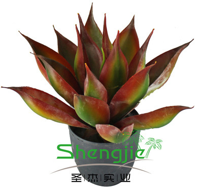 【仿真旱蓮 仿真植物 園林景觀(guān)設(shè)計(jì) 植物廠(chǎng)家 義烏仿真植物 綠植】?jī)r(jià)格,廠(chǎng)家,圖片,人造仿真植物,廣州市圣杰園林景觀(guān)設(shè)計(jì)-