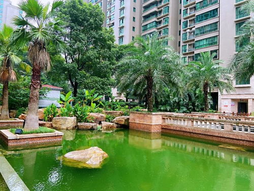 新品加推 持續(xù)熱領(lǐng) 不只是產(chǎn)品的進(jìn)階,更是生活的精研