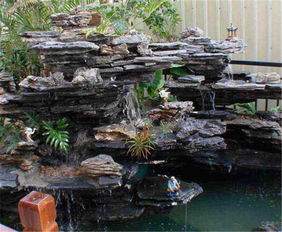 千層石清倉甩賣 實惠的千層石 廠家直銷