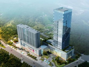 四川藍圖 未來五年打造最美農(nóng)業(yè)主題公園、國際康養(yǎng)城、文化特色街區(qū)與園林實業(yè)