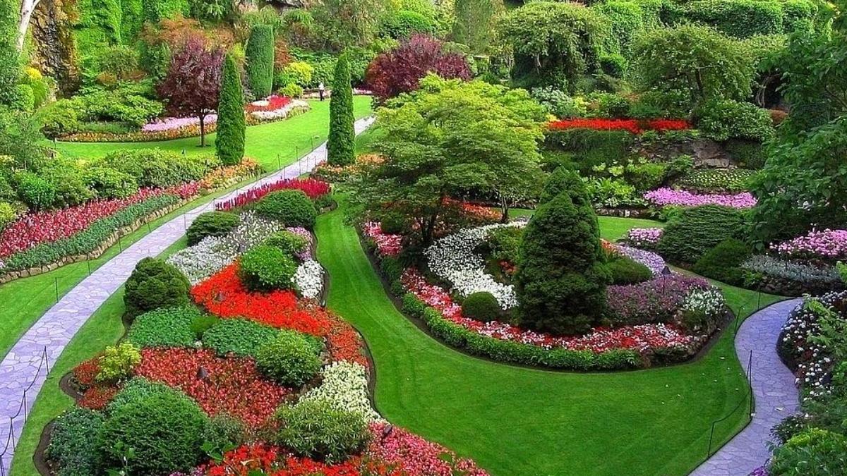 園林綠化與病蟲害防治的問題和對策——以廣東田野風(fēng)實業(yè)為例